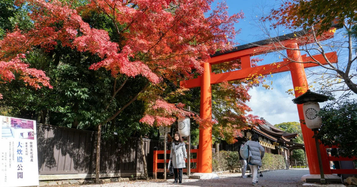 Kyoto torii gate
